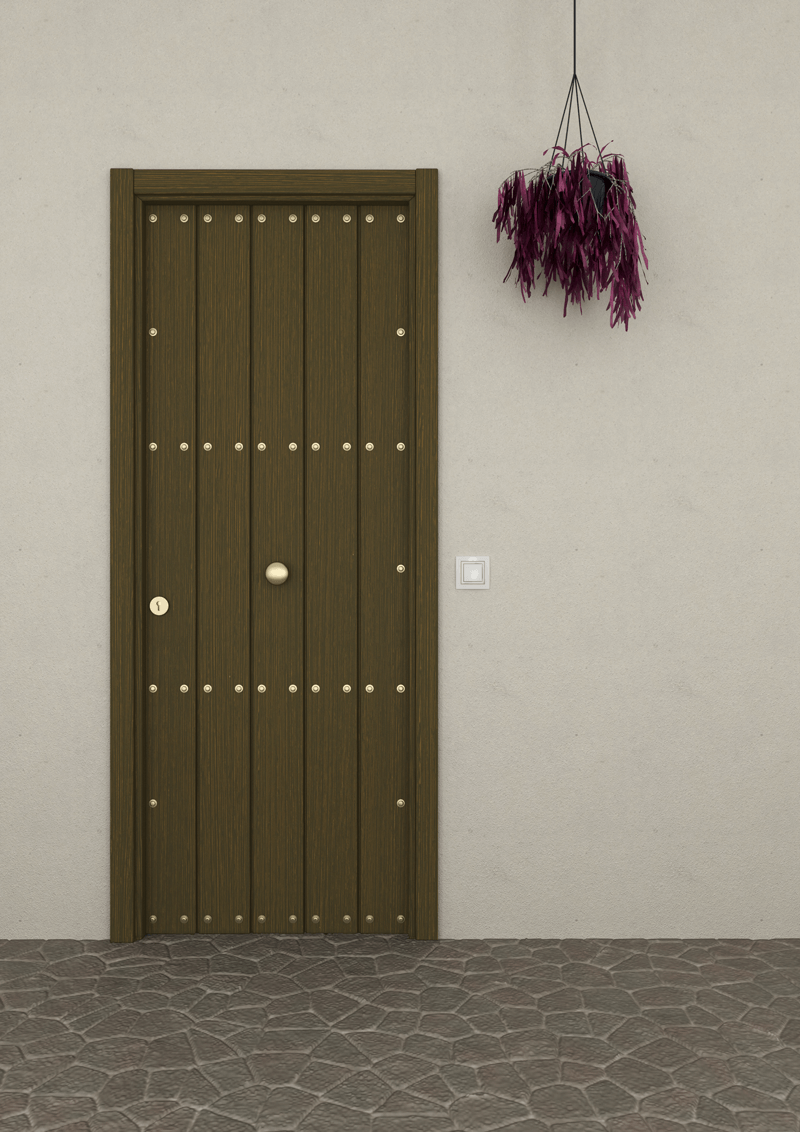 Entrance door with aluminum staves STRUGAL 500 D1