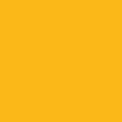 Traffic Yellow - STB - 493