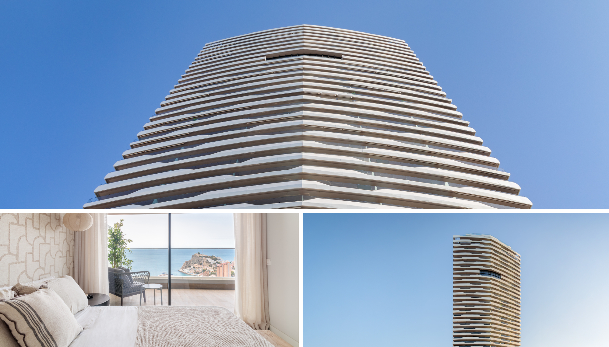 Premios ada proyecto 2