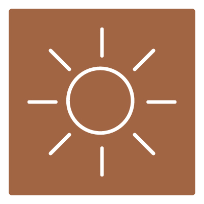 Luz